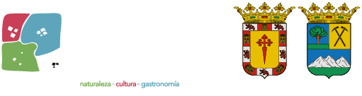 light logo