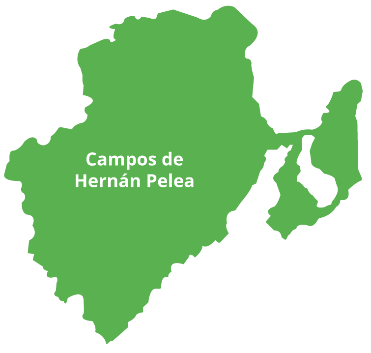 campos hernán pelea campos hernán pelea