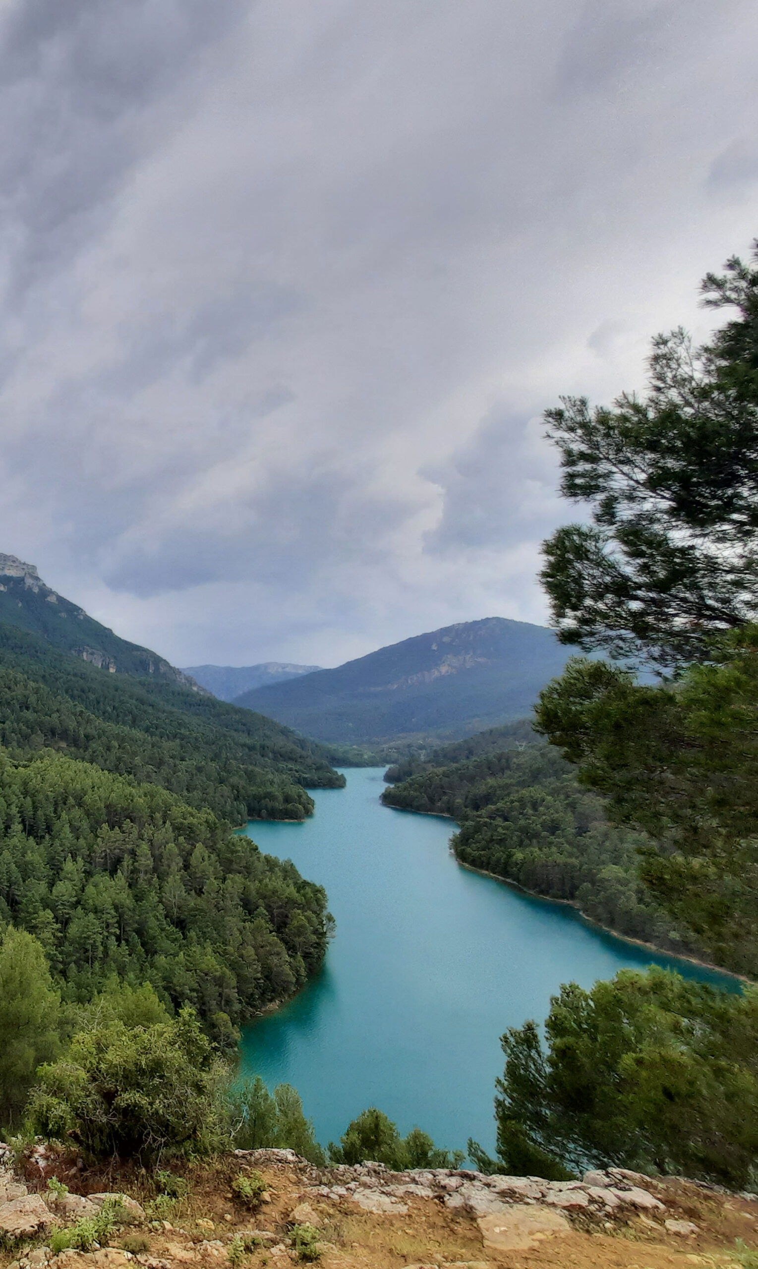 Mikado Destination widget naturaleza scaled Mikado Destination