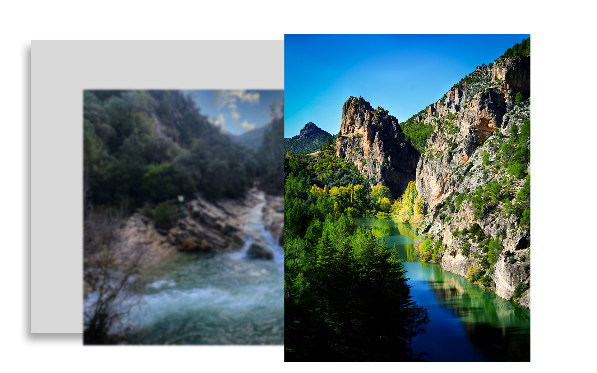 collage_naturaleza_1 Naturaleza collage naturaleza 1 Naturaleza