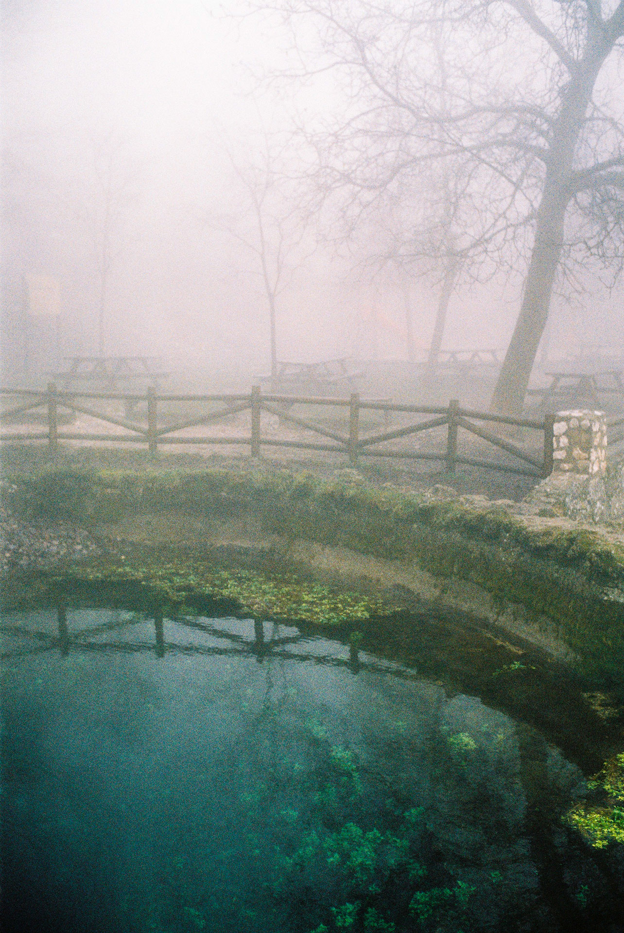 Cuna del río Segura