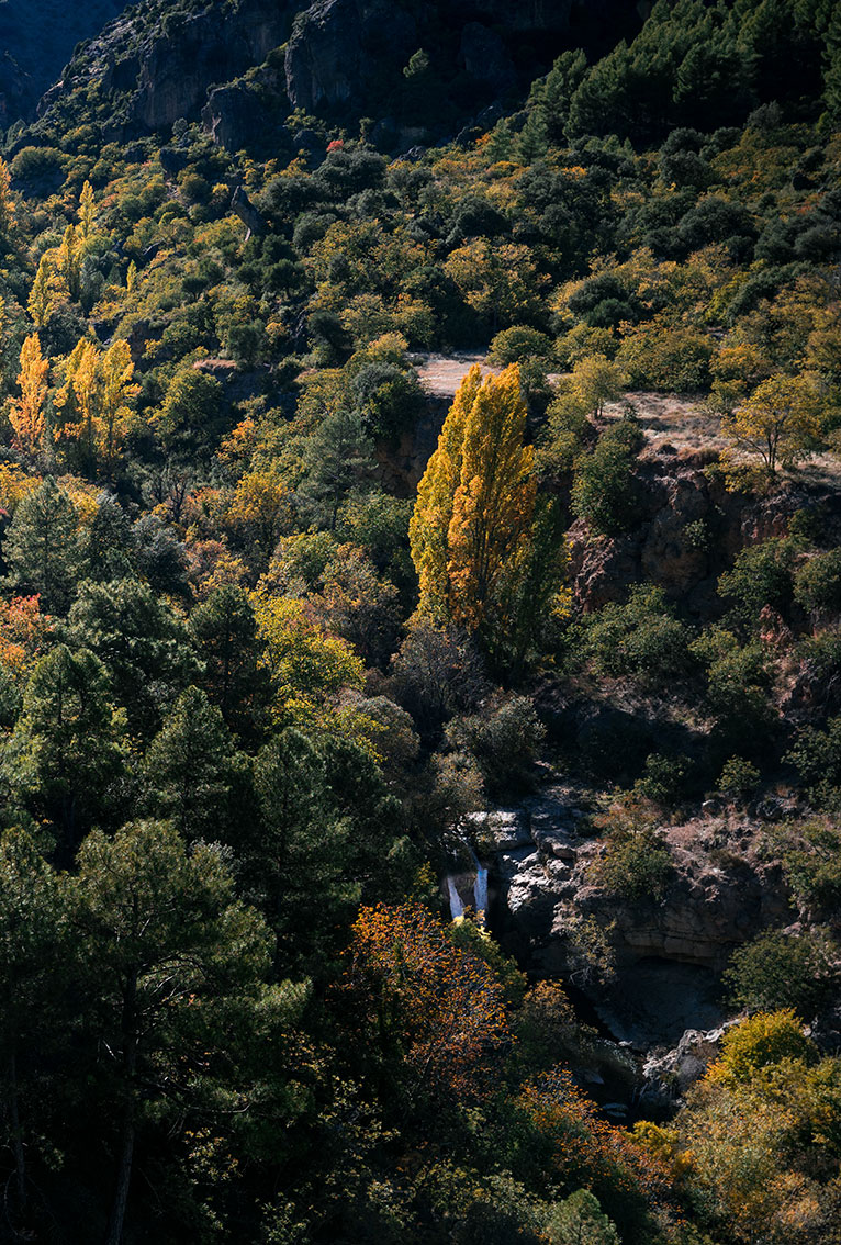 Mikado Destination rio zumeta Mikado Destination